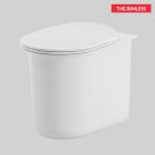 CHV002 CHIC Rimless back to wall sanitary